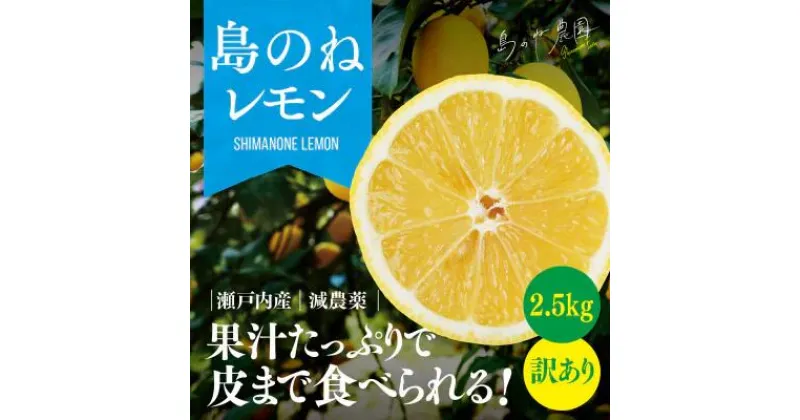 【ふるさと納税】【訳あり】島のねレモン　2.5kg 【K001600】れもん　レモン　檸檬　愛媛県産　フルーツ　果物　瀬戸内海産　減農薬　今治産　訳アリフルーツ　訳ありフルーツ　訳あり果物　減農薬レモン