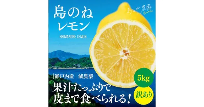 【ふるさと納税】【訳あり】島のねレモン　5kg 【K001610】れもん　レモン　檸檬　愛媛県産　フルーツ　果物　瀬戸内海産　減農薬　今治産　訳アリフルーツ　訳ありフルーツ　訳あり果物　減農薬レモン