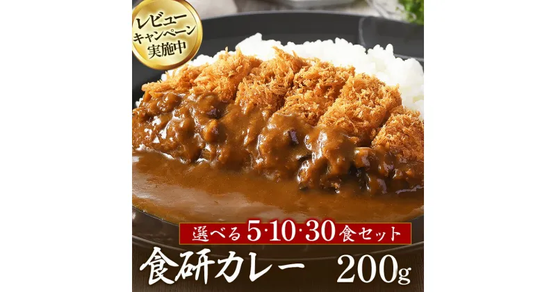 【ふるさと納税】レビューCP実施中 食研カレー（200g×5袋～30袋）今治 いまばり 愛媛 えひめ ご当地 30袋 レトルト セット レトルトカレー 常温 家庭用 加工品 国産 日本食研【VB02360】