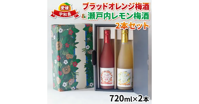 【ふるさと納税】 ＼10営業日以内発送／ 梅酒 飲み比べ ブラッドオレンジ梅酒 瀬戸内レモン梅酒 各1本 全国梅酒品評会2021金賞受賞 名門サカイ 瀬戸内 レモン 檸檬 ブラッド オレンジ 梅 セット 果実酒 柑橘 飲料 お酒 アルコール 果物 国産 愛媛 宇和島 I018-085003