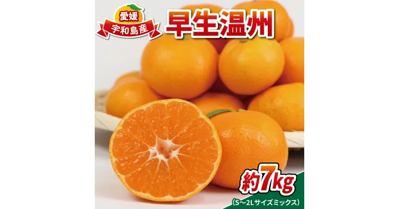 【ふるさと納税】 愛媛みかん 早生温州 7kg 家庭用 S~2L サイズ ミックス 南四国ファーム mikan みかん 不揃い 早生 温州 温州みかん 愛媛ミカン 愛媛蜜柑 果物 くだもの フルーツ 柑橘 蜜柑 産地直送 数量限定 国産 宇和島 B010-035001