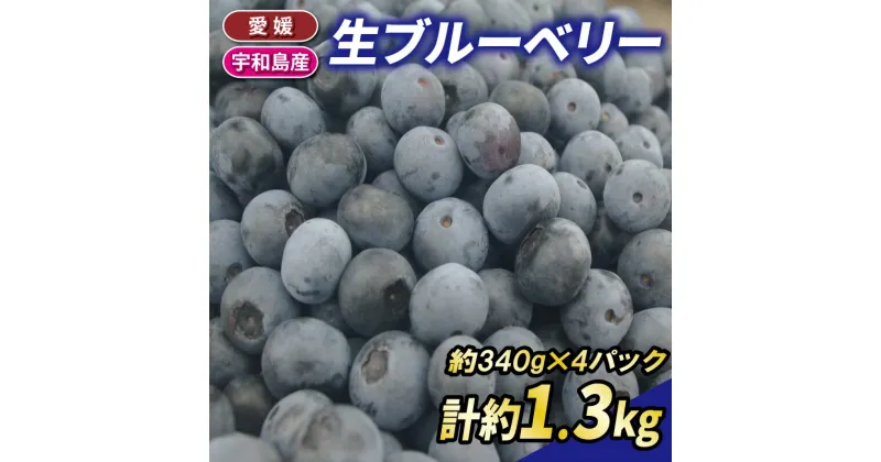 【ふるさと納税】 ブルーベリー 生ブルーベリー 340g ×4パック 計約 1.3kg 南四国ファーム berry ベリー 果物 くだもの フルーツ デザート スイーツ ジャム ポリフェノール 抗酸化作用果物 冷蔵 小分け 農家直送 産地直送 数量限定 フルーツ 国産 愛媛 宇和島 F012-035006