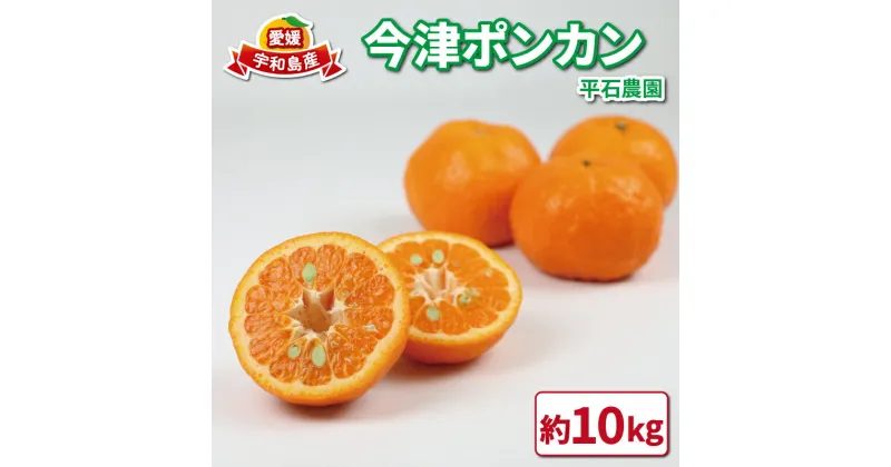 【ふるさと納税】 ポンカン 10kg 家庭用 サイズ 不揃い 平石農園 愛媛みかん みかん mikan 愛媛ミカン 愛媛蜜柑 ぽんかん 果物 くだもの フルーツ 柑橘 甘い ジューシー 果肉 みかん 蜜柑 数量限定 産地直送 農家直送 国産 愛媛 愛媛県産 宇和島 B011-017003