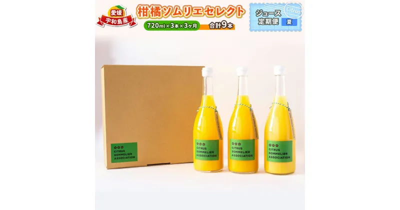 【ふるさと納税】 ジュース定期便 3回 720ml × 3本 計9本 セレクト ジュース 柑橘ソムリエ 定期便 みかん定期便 3ヶ月 果汁 飲料 柑橘 みかん mikan 蜜柑 みかんジュース ストレートジュース 100%ジュース 果物 くだもの フルーツ 国産 愛媛 宇和島 H040-064003