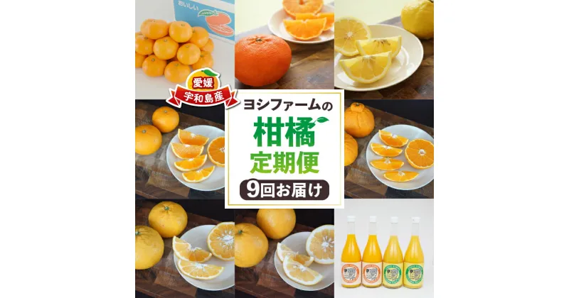 【ふるさと納税】 みかん定期便 柑橘定期便 9回 みかん ヨシファーム 蜜柑 mikan みかんジュース ジュース 南柑20号 伊予柑 ポンカン 甘平 甘夏 不知火 はるか 河内晩柑 清見 早生温州 定期便 果物 くだもの フルーツ 柑橘 産地直送 農家直送 国産 愛媛 宇和島 B090-067001