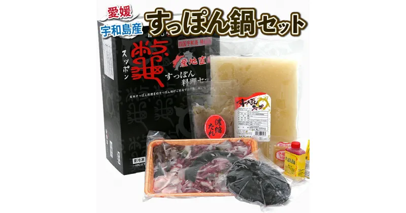 【ふるさと納税】 ＼10営業日以内発送／ すっぽん 料理 セット 精肉 550g 甲羅 120g たれ エンペラー からし酢みそ 活血 スープ 水幸苑 鍋セット カット済み 切り身 簡単調理 冷凍 濃縮 コラーゲン 美容 疲労回復 スタミナ 雑炊 産地直送 国産 愛媛 宇和島 D035-103006