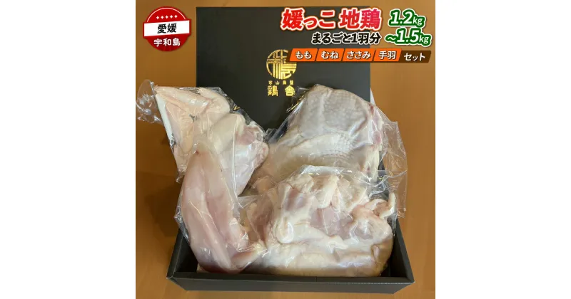 【ふるさと納税】 国産地鶏 地鶏 媛っこ地鶏 1羽分 1.2～1.5kg 寒山鳥聲 鶏舎 鳥 tori 鳥肉 鶏肉 鶏 とり肉 地鶏り お肉 肉 niku にく とりにく もも肉 鶏もも 胸肉 ムネ肉 ささ身 手羽 食べ比べ 冷凍 産地直送 数量限定 特産品 国産 愛媛 宇和島 E018-089004