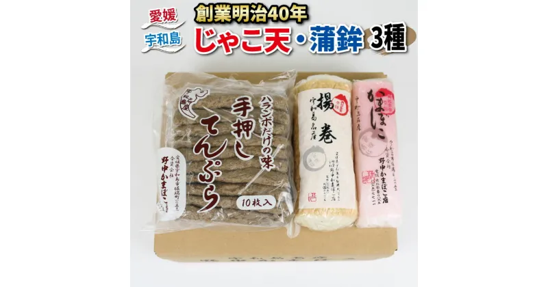 【ふるさと納税】 ＼10営業日以内発送／ じゃこ天 蒲鉾 3種 セット じゃこ天 10枚 揚巻 1本 紅かまぼこ 1本 野中かまぼこ店 り身 練り物 さつま揚げ かまぼこ 揚げかまぼこ 天ぷら おかず 冷蔵 フライ おでん だし 小分け 郷土料理 酒 おつまみ 肴 愛媛 宇和島 C015-014002