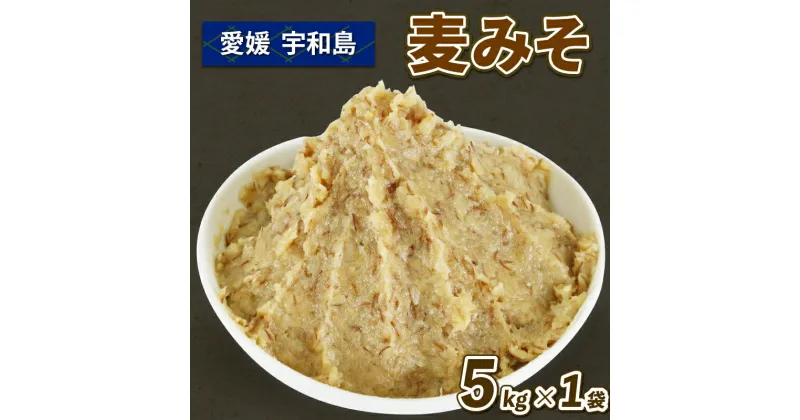 【ふるさと納税】 ＼10営業日以内発送／ 麦みそ 5kg 味噌 みそ 麦味噌 企業組合 津島 あぐり工房 麦みそ 味噌 みそ 加工食品 miso ミソ 麦味噌 発酵 発酵調味料 調味料 味噌汁 みそしる みそ汁 麦 麹 こうじ 数量限定 手作り こだわり 国産 愛媛 宇和島 J012-066005