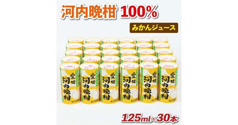 【ふるさと納税】 ＼10営業日以内発送／ みかんジュース 愛媛 河内晩柑 125ml ×30本 愛工房 フルーツ ジュース 100％ジュース ストレートジュース みかん mikan 蜜柑 晩柑 果汁100％ 紙パック 飲料 柑橘 備蓄 防災 スイーツ 果物 くだもの 産地直送 国産 宇和島 H020-034004