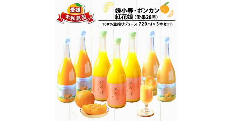 【ふるさと納税】 みかんジュース 720ml ×3本 媛小春 ポンカン 紅花娘 愛果28号 フレッシュつちやま 果物 くだもの フルーツ 果汁 蜜柑 愛媛みかん みかん mikan 飲料 柑橘 ジュース ストレートジュース ストレート 産地直送 数量限定 国産 愛媛 宇和島 H015-096009