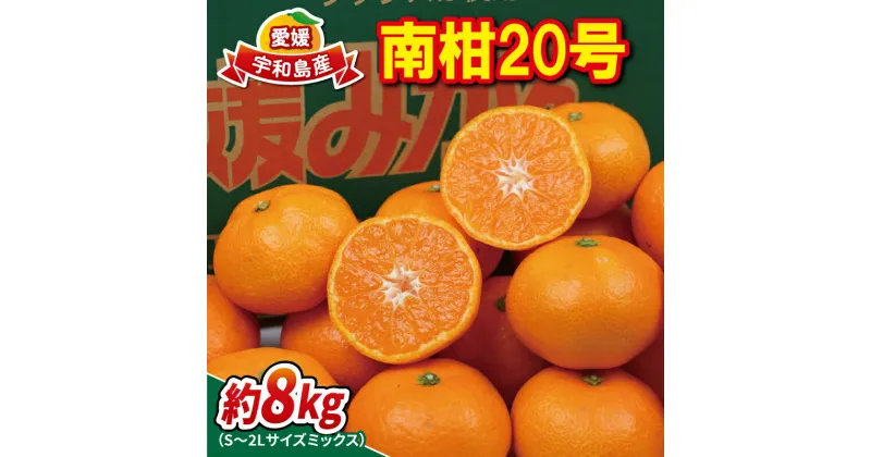 【ふるさと納税】 温州みかん 南柑20号 8kg S~2L ミックス 南四国ファーム 甘い コク ジューシー 愛媛みかん 温州 みかん ミカン mikan 愛媛蜜柑 愛媛ミカン 宇和島みかん 人気みかん 果物 くだもの フルーツ 柑橘 蜜柑 産地直送 数量限定 国産 愛媛 宇和島 B011-035010