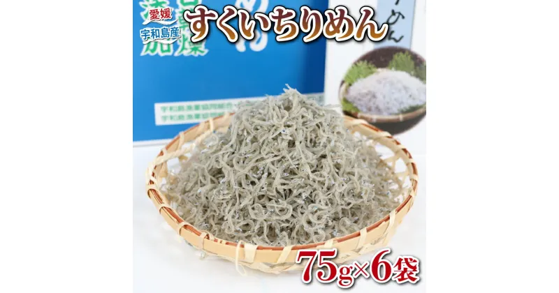 【ふるさと納税】 ちりめん すくいちりめん 75g×6袋 計450g 愛媛県漁業協同組合宇和島支所 じゃこ ちりめんじゃこ しらす しらす干し ちりめん干し おつまみ 加工品 水産品 ふりかけ 弁当 おにぎり 天日干し イワシ 高級 数量限定 産地直送 国産 愛媛 宇和島 D018-027003