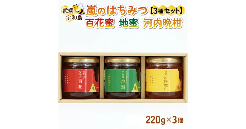 【ふるさと納税】 国産純粋はちみつ 嵐 の はちみつ 天然 100％ 食べ比べ 3種 セット 百花蜜 地蜜 河内晩柑 みつばち屋嵐 非加熱 蜂蜜 贈答用 プレゼント 希少 天然 100% 天然はちみつ 百花はちみつ 蜜柑 みかん mikan 晩柑 日本はちみつ 国産 愛媛 宇和島 F022-129001