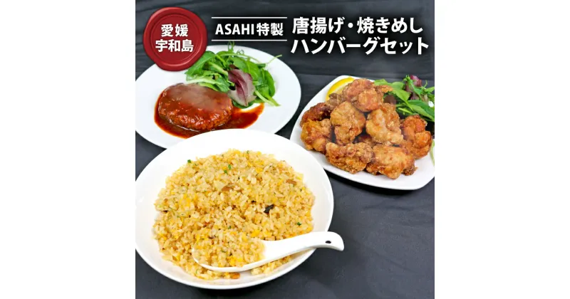 【ふるさと納税】 冷凍食品 セット 唐揚げ 焼きめし ハンバーグ ASAHI特製 株式会社きむら 人気 鶏肉 鶏もも とりもも 鶏の唐揚げ 鶏 冷凍 から揚げ からあげ 冷凍ハンバーグ 肉 お肉 にく チャーハン 炒飯 焼き飯 手作り 惣菜 温めるだけ 中華 簡単 愛媛 宇和島 J010-126004