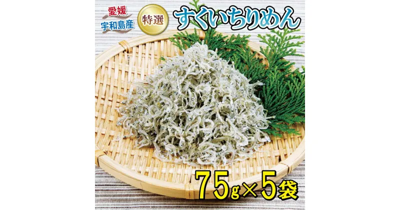 【ふるさと納税】 特選 ちりめん すくいちりめん 75g×5袋 計375g 愛媛県漁業協同組合宇和島支所 じゃこ ちりめんじゃこ しらす しらす干し ちりめん干し 人気 おつまみ 加工品 水産品 ふりかけ 弁当 おにぎり カタクチイワシ イワシ 産地直送 国産 愛媛 宇和島 D018-027004