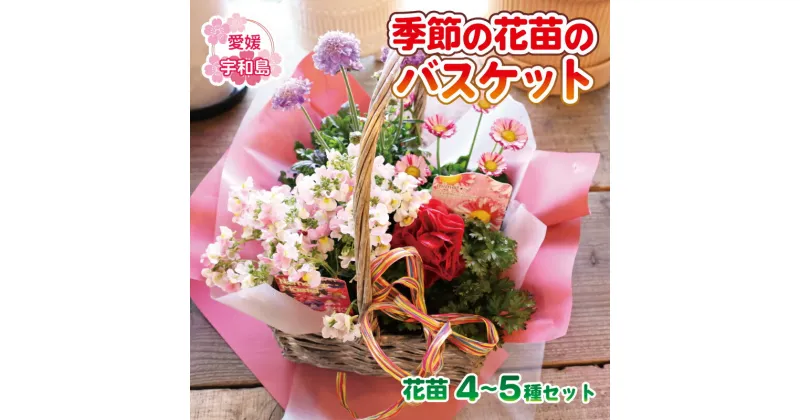 【ふるさと納税】 ＼10営業日以内発送／ 季節の花苗のバスケット ポピー Flowershop Poppy 花苗 花 苗 寄植え バスケット 生花 誕生日 記念日 プレゼント Flower フラワー 自宅用 アレンジメント ガーデニング 園芸 ギフト 国産 愛媛 宇和島 K012-125002