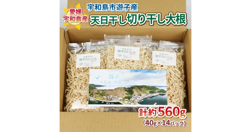 【ふるさと納税】 先行予約 切り干し大根 小分け 560g NPO法人段畑を守ろう会 12月以降発送 切干大根 天日干し 宇和島市遊子産 パック 大根 野菜 根菜 おかず 簡単 料理 農家直送 産地直送 数量限定 国産 愛媛 宇和島 F010-051004