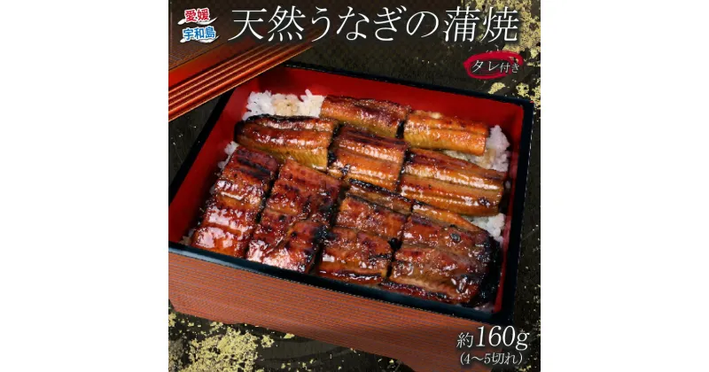 【ふるさと納税】 天然 うなぎ の 蒲焼 約 160g 料理田むら 鰻 うなぎ 天然うなぎ 天然鰻 天然 かば焼き 本格 タレ付き 国産うなぎ 蒲焼 うな重 ひつまぶし かばやき 真空パック 湯煎 簡単調理 高級 国産 愛媛 宇和島 D020-140001