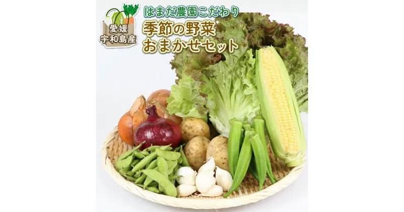 【ふるさと納税】 季節のおまかせ 野菜 セット はまだ農園 やさい 野菜セット 美味しい 新鮮 小分け 季節 お任せ 食べ比べ 旬野菜 旬 詰め合わせ 季節限定 季節野菜 フレッシュ yasai 農家直送 産地直送 数量限定 国産 愛媛 宇和島 F010-139001