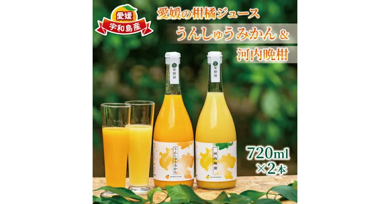 【ふるさと納税】 ストレートジュース 愛媛 の 柑橘ジュース 720ml × 2本 セット 壱果樹園 河内晩柑 温州みかん みかんジュース みかん 蜜柑 mikan フルーツ ジュース 果汁 100% 飲料 ギフト 贈答用 果物 くだもの 先行予約 国産 愛媛 宇和島 H015-141002