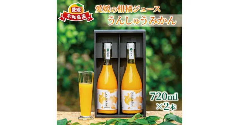 【ふるさと納税】 ストレートジュース 愛媛 の 柑橘ジュース 720ml × 2本 セット 温州みかん 壱果樹園 みかんジュース みかん 蜜柑 mikan ジュース フルーツジュース 果汁 100% 飲料 柑橘 ギフト 贈答用 果物 くだもの フルーツ 先行予約 国産 愛媛 宇和島 H015-141001