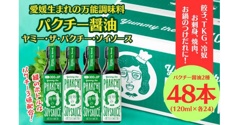 【ふるさと納税】 ＼10営業日以内発送／ パクチー醤油 2種 オリジナル 300% 48本 セット 旭合名会社 パクチー 醤油 コリアンダー ごま油 ニンニク 万能 調味料 国産 愛媛 宇和島 J145-052020