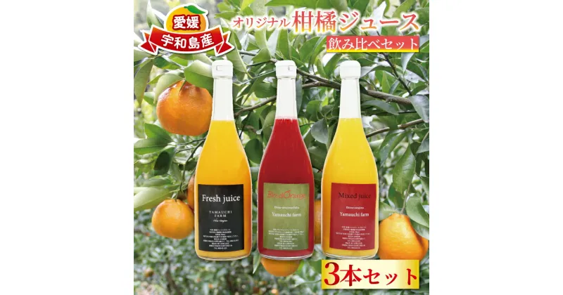 【ふるさと納税】 みかんジュース 飲み比べ セット おまかせ 720ml ×3本 オリジナル 柑橘ジュース YAMAUCHI FARM ミックスジュース ぽんかん 伊予柑 不知火 ブラッドオレンジ ストレート ジュース 果物 フルーツ 産地直送 数量限定 国産 愛媛 宇和島 H018-084002