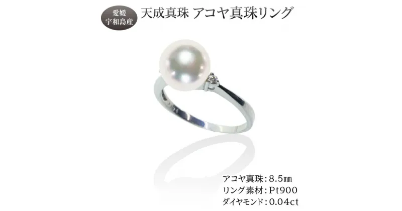 【ふるさと納税】 アコヤ真珠 リング 8.5mm 天成真珠 アクセサリー ファッション リング 指輪 ジュエリー akoya 本真珠 真珠 パール 越し物 高級 プレゼント 贈り物 贈答品 贈答用 お祝い 誕生日 成人式 卒業祝 就職祝い 記念日 特産品 国産 愛媛 宇和島 A530-114020