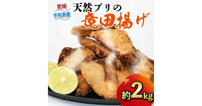 【ふるさと納税】 鰤 ぶり 天然ブリ 竜田揚げ 約 2kg 南予ビージョイ 鰤 ぶり ブリ buri 唐揚げ からあげ 天然鰤 南蛮漬け アレンジ 簡単調理 冷凍食品 冷凍 小分け パック 便利 海鮮 海産物 海の幸 宇和海 特産品 おつまみ おかず 国産 愛媛 愛媛県産 宇和島 D010-150001