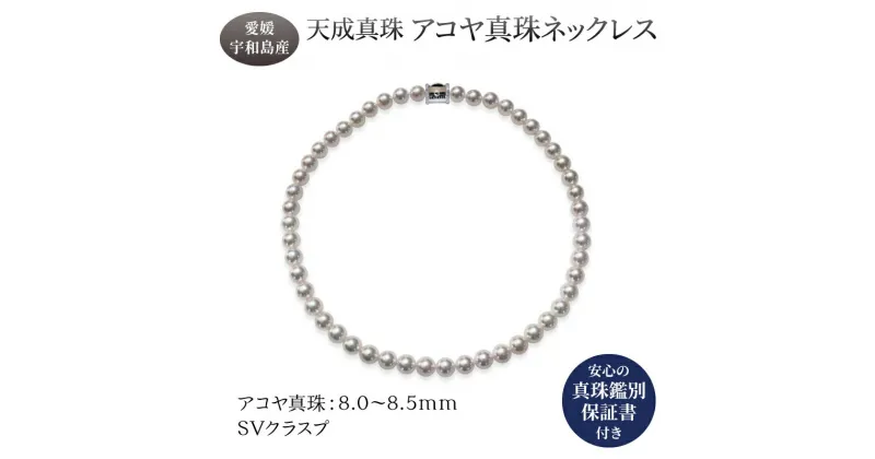 【ふるさと納税】 アコヤ真珠 ネックレス 8.0-8.5mm 天成真珠 鑑別書付 アクセサリー ファッション ジュエリー akoya 本真珠 真珠 パール 越し物 高級 プレゼント 贈り物 贈答品 贈答用 お祝い 誕生日 成人式 卒業祝 就職祝い記念日 特産品 国産 愛媛 宇和島 A1060-114003