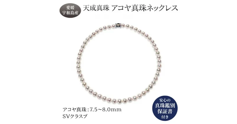 【ふるさと納税】 アコヤ真珠 ネックレス 7.5-8.0mm 天成真珠 鑑別書付 アクセサリー ファッション ジュエリー akoya 本真珠 真珠 パール 越し物 高級 プレゼント 贈り物 贈答品 贈答用 お祝い 誕生日 成人式 卒業祝 就職祝い 記念日 特産品 国産 愛媛 宇和島 A795-114004