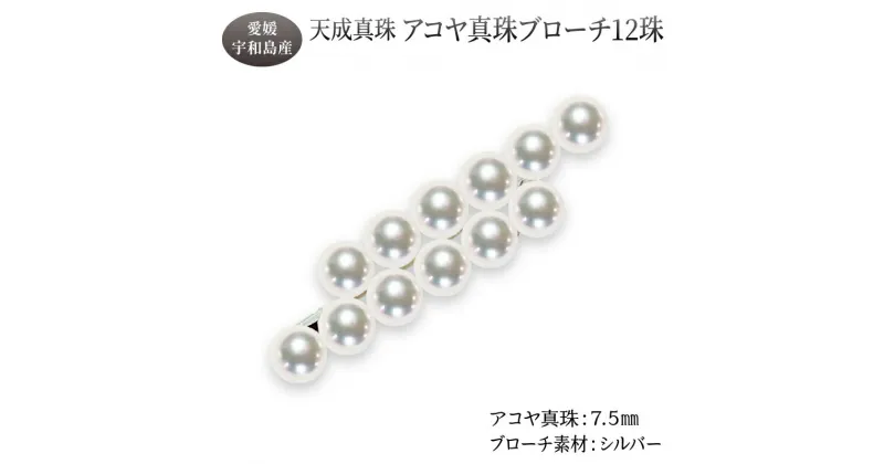 【ふるさと納税】 アコヤ真珠 ブローチ 7.5mm 12珠 天成真珠 アクセサリー ファッション akoya 本真珠 真珠 パール 越し物 高級 プレゼント 贈り物 贈答品 贈答用 お祝い 誕生日 成人式 卒業祝 就職祝い 記念日 特産品 国産 愛媛 宇和島 A375-114016