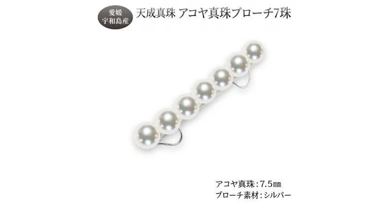 【ふるさと納税】 アコヤ真珠 ブローチ 7.5mm 7珠 天成真珠 アクセサリー ファッション ジュエリー akoya 本真珠 真珠 パール 越し物 高級 プレゼント 贈り物 贈答品 贈答用 お祝い 誕生日 成人式 卒業祝 就職祝い 記念日 特産品 国産 愛媛 宇和島 A250-114017