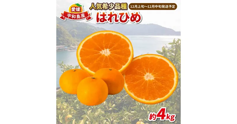 【ふるさと納税】 愛媛みかん はれひめ 4kg 家庭用みかん 協徳ガーデン 瀬戸の晴れ姫 晴姫 蜜柑 mikan 吉田みかん 愛媛みかん 愛媛ミカン 愛媛蜜柑 愛媛県産みかん 果物 くだもの 柑橘 フルーツ 希少 品種 数量限定 産地直送 農家直送 国産 愛媛 宇和島 B010-178001