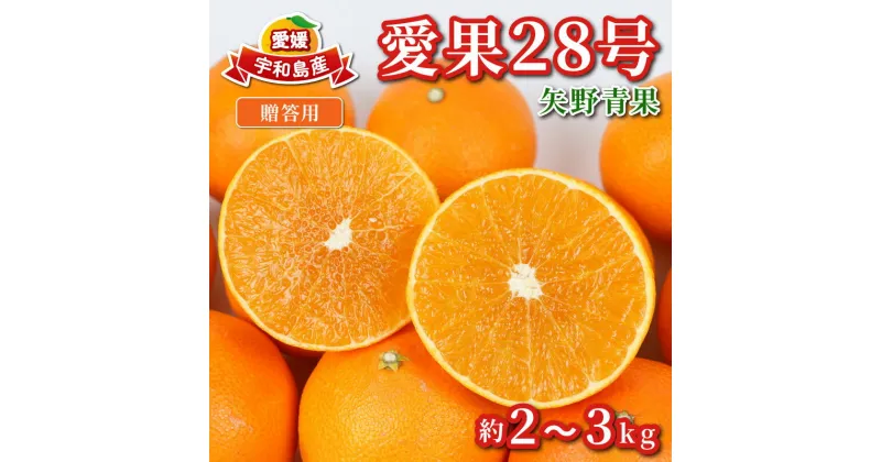 【ふるさと納税】 みかん 贈答用 愛果28号 2 ~ 3kg 化粧箱入 矢野青果 柑橘 蜜柑 mikan 高級 ブランド 限定 人気 品種 甘い ゼリー プルプル 果物 くだもの フルーツ 人気のみかん 美味しいみかん 濃厚 贈答品 数量限定 産地直送 先行予約 国産 愛媛 宇和島 B012-171004