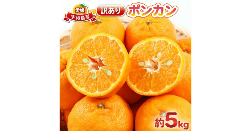 【ふるさと納税】 ポンカン 5kg 訳あり ポンカン 杉本屋 先行予約 ぽんかん 訳あり品 mikan みかん ジューシー デザート 甘い 果物 くだもの フルーツ 柑橘 みかん 蜜柑 ビタミン お取り寄せ 愛媛みかん 愛媛蜜柑 愛媛県産 産地直送 数量限定 国産 愛媛 宇和島 B010-143005