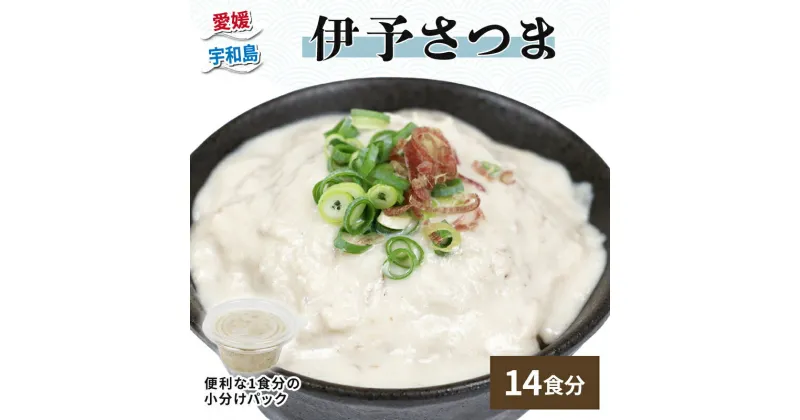 【ふるさと納税】 さつま 伊予さつま 60g × 14個 計 14食分 河野鮮魚店 さつま飯 さつま汁 真鯛 鯛 たい 白身魚 魚 魚介 味噌 みそ 麦味噌 麦みそ 出汁 だし 丼 ごはん ご飯 薬味 おすすめ 冷凍 簡単調理 小分け パック 郷土料理 特産品 国産 愛媛 宇和島 D010-177001