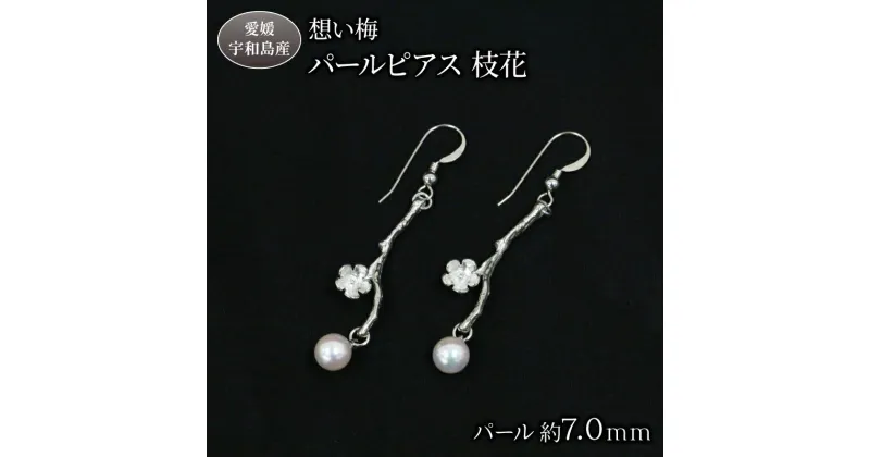 【ふるさと納税】 真珠 想い梅 パールピアス 枝花 Npearl シルバー 宇和海 SV SILVER アクセサリー アコヤ真珠 akoya アコヤ 本真珠 パール ピアス ファッション カジュアル 卒業式 入学式 お祝い 人気 ギフト 贈り物 特産品 国産 真珠 愛媛 宇和島 A110-166006