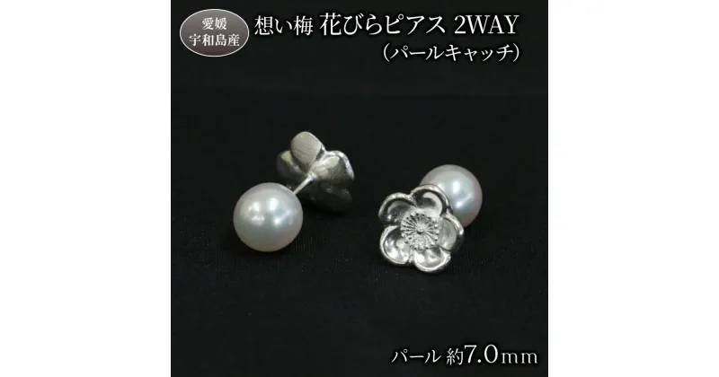 【ふるさと納税】 真珠 想い梅 花びらピアス 2WAY パールキャッチ Npearl シルバー 宇和海 アクセサリー アコヤ真珠 akoya アコヤ 本真珠 パール ピアス キャッチ ファッション 卒業式 入学式 カジュアル お祝い 人気 ギフト 贈り物 特産品 国産 愛媛 宇和島 A135-166007