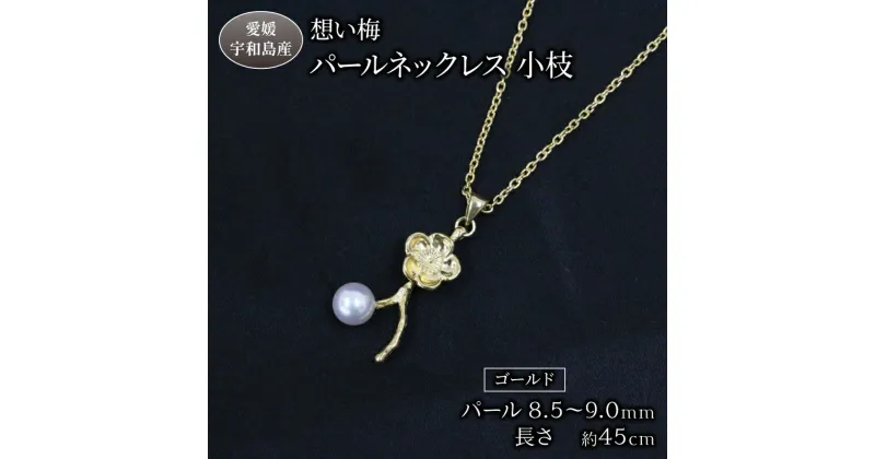 【ふるさと納税】 真珠 パール ネックレス ペンダント あこや真珠 ジュエリー 想い梅 小枝 Npearl ゴールド アクセサリー アコヤ真珠 本真珠 パールネックレス ファッション 卒業式 入学式 お祝い 人気 ギフト 贈り物 プレゼント 特産品 国産 愛媛 宇和島 A135-166009