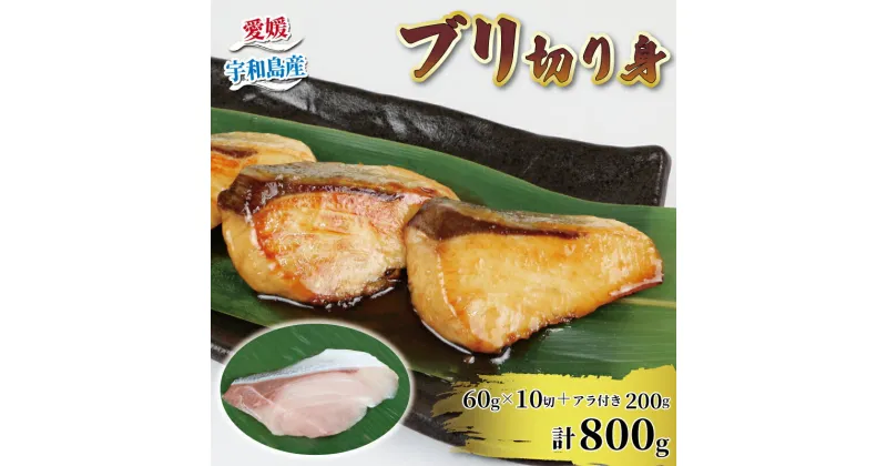 【ふるさと納税】 国産ブリ 鰤 ぶり 切り身 60g × 10切 アラ 200g 計 800g 河野鮮魚店 ブリ 切身 真空パック 新鮮 魚介 海鮮 海産物 鮮魚 魚 カット 済み おすすめ 簡単 調理 照焼 照り焼き ぶり大根 鰤大根 急速冷凍 冷凍 数量限定 産地直送 国産 愛媛 宇和島 D010-177007