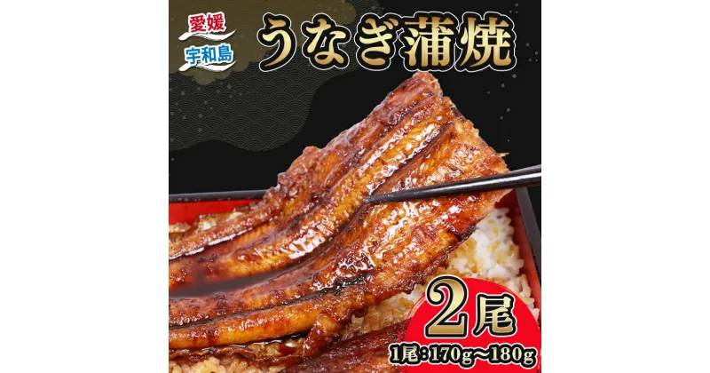 【ふるさと納税】 うなぎ国産 うなぎ蒲焼 170 ~ 180g 2尾 タレ付き タレ 蜂蜜 入り 河野鮮魚店 手作り 高級 鰻 うなぎ ウナギ unagi 養殖 本格 鰻蒲焼 国産鰻 国産ウナギ 頭付き 蒲焼 蒲焼き 国産うなぎ うな重 ひつまぶし 冷凍 パック 国産 愛媛 宇和島 D028-177003