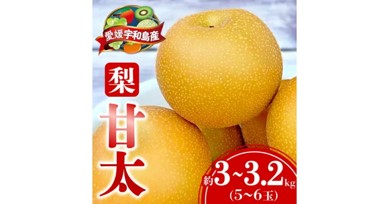 【ふるさと納税】 梨 甘太 3 ～ 3.2kg（5～6玉） 大森城山麓園 先行予約 なし 和梨 ナシ 新品種 果汁 甘い 人気 果物 フルーツ 産地直送 農家直送 数量限定 国産 愛媛 宇和島 F010-181001