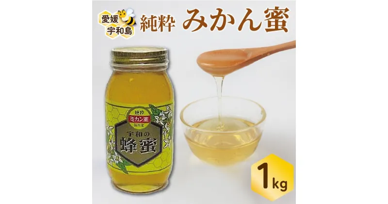 【ふるさと納税】 国産はちみつ みかん蜜 1kg ギフト箱入 元気や みかん 愛媛みかん 愛媛蜜柑 人気ハチミツ 国産純粋はちみつ 蜂蜜 はちみつ ハチミツ ハニー honey 非加熱 国産蜂蜜 純粋はちみつ 純粋蜂蜜 生はちみつ 天然はちみつ 産地直送 国産 愛媛 宇和島 F022-176003