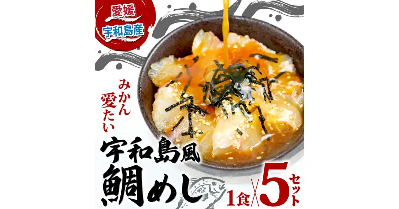 【ふるさと納税】 ＼10営業日以内発送／ 鯛めし 5食 セット みかん 鯛 宇和島鯛めし 南予ビージョイ 真鯛 鯛 マダイ タイ tai 刺身 お刺身 漬け丼 漬け 海鮮丼 郷土料理 鯛飯 海鮮 人気 海の幸 魚介 人気加工品 冷凍 小分け パック お手軽 便利 国産 愛媛 宇和島 D010-150004