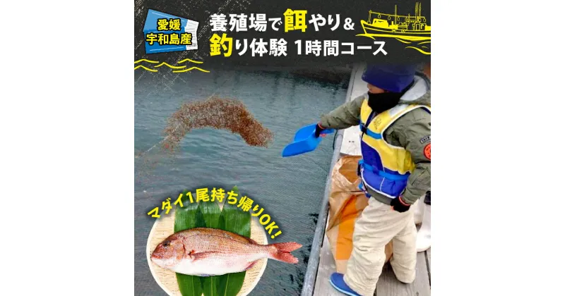 【ふるさと納税】 釣り 体験 チケット 養殖場で餌やり＆釣り体験 1時間 コース こもこもShop 餌やり 養殖場 船 鯛 真鯛 1尾 持ち帰り 体験 つり アクティビティ アウトドア フィッシング 観光 旅行 魚 海鮮 魚介 愛媛 宇和島 L022-186003