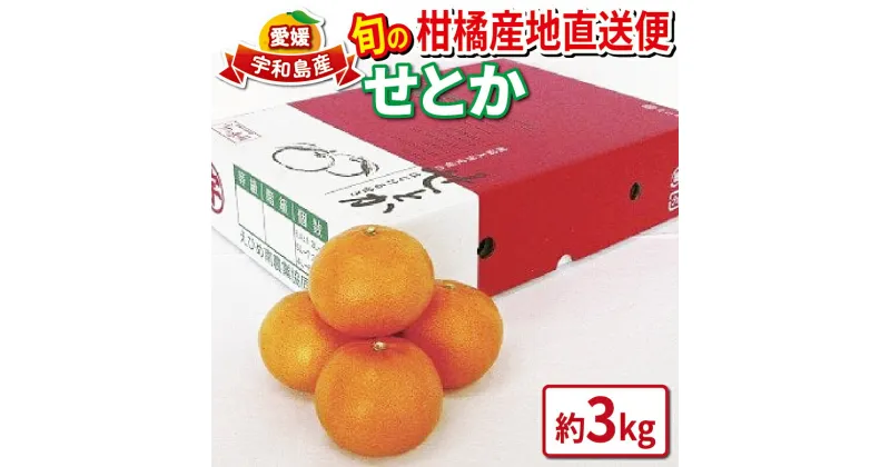 【ふるさと納税】 せとか 高級柑橘 優品 3kg 先行予約 えひめ南農業協同組合直販センター 柑橘の 大トロ 果物 フルーツ 愛媛ミカン 愛媛蜜柑 愛媛みかん 高級 ブランド 希少 mikan 蜜柑 みかん 果物 フルーツ 柑橘 農家直送 産地直送 数量限定 国産 愛媛 宇和島 B018-009006