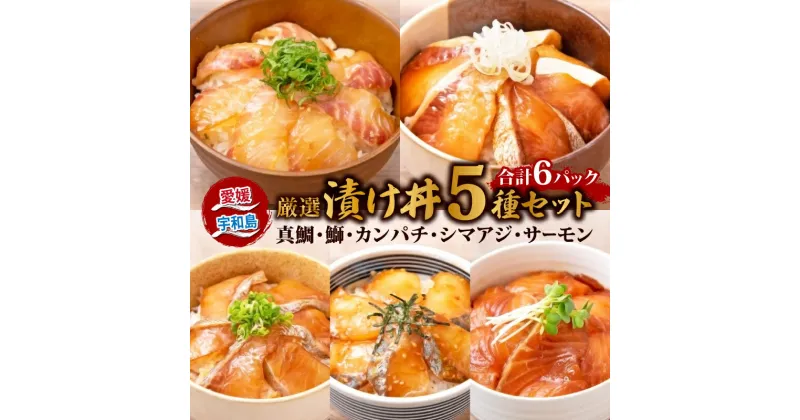 【ふるさと納税】 ＼10営業日以内発送／ 漬丼 厳選 活締め 5種 漬け丼 6食 セット 南予ビージョイ 鮭 サーモン 鰤 ブリ 真鯛 鯛 カンパチ 縞鯵 シマアジ 鯵 あじ 漬け丼 づけ丼 りゅうきゅう 人気 加工品 漬け丼 新鮮 鮮魚 漬け 丼 刺身 海鮮丼 国産 愛媛 宇和島 D010-150005