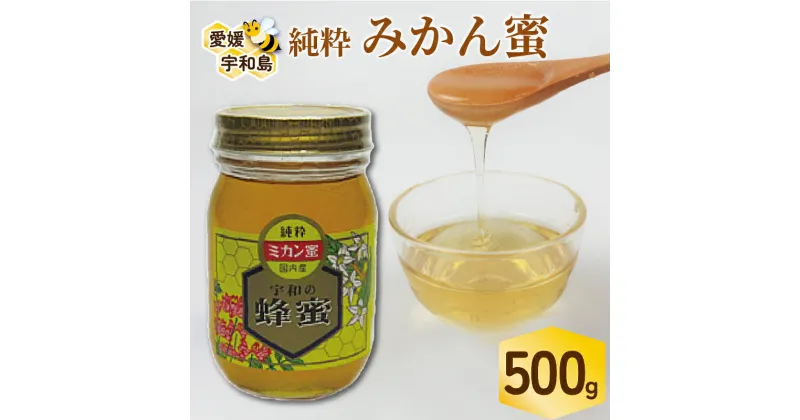 【ふるさと納税】 国産はちみつ みかん蜜 500g ギフト箱入 元気や みかん 愛媛みかん mikan 人気ハチミツ 国産純粋はちみつ 蜂蜜 はちみつ ハチミツ ハニー honey 非加熱 国産蜂蜜 純粋はちみつ 純粋蜂蜜 生はちみつ 天然はちみつ 産地直送 国産 愛媛 宇和島 F013-176005